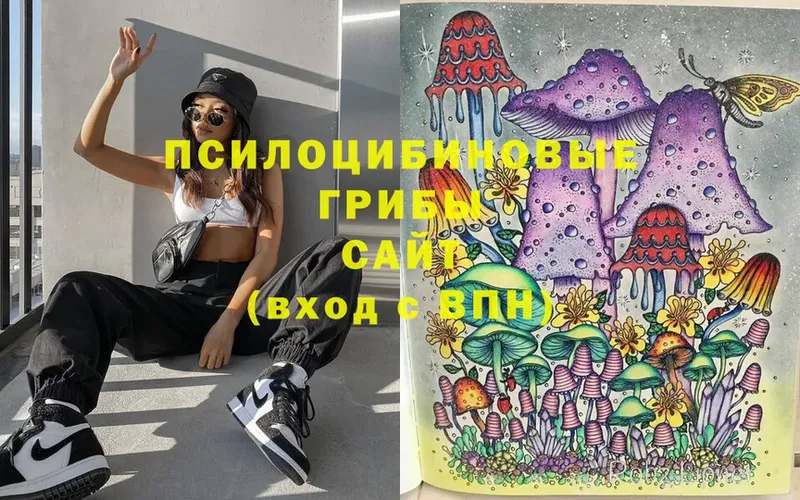 Псилоцибиновые грибы MAGIC MUSHROOMS  Артёмовск 